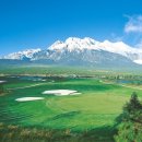 신동아 골프스크린 이미지