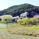 봄 - 완주군 지사제로 161 | 봄