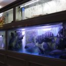 자갈치횟집 이미지