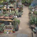 연성농장 이미지