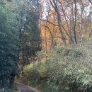 스이진 | 24.12. 큐슈 2 : 나가유 온천 스이진노모리 료칸(1)