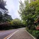 인사동두부마을 이미지