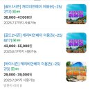 오솜도솜 | 캐리비안베이 입장권 할인/주차 할인/음식물 반입_냉장 보관/챙기면 좋은 준비물_내가 기억하려고 쓰는...