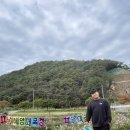 무수목장 | 남해가볼만한곳추천 양떼목장 내돈내산 솔직후기