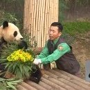 행복을주는공인중개사사무소 이미지