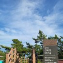 바닷길 | 쏠비치진도 가볼만한곳 신비의 바닷길 열리는 시간 꿀팁 후기