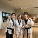 봉황태권도 이미지