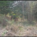 은사보건진료소 이미지