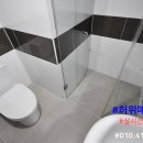 도보리스