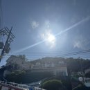 통영루지여행펜션 | 숙소 추천] 푸른 바다와 평화로움이 가득한 '통영 루지여행펜션' 솔직 후기 (오션뷰·애견동반·낚시 가능)