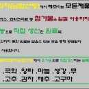 금국국화차