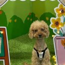 2024-주217 이미지