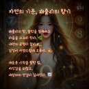 울림에향기 이미지