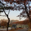 천병샘 이미지