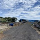 선양 목장 이미지