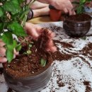 양동경로당 이미지