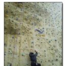 판교 인공암벽장 이미지