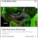 인피드