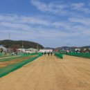 뉴월드파크 이미지