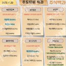 2023년 11월 22일 내일 단타 종목(시가기준), 주식 등락율 순위 이미지