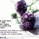 [Gospel Song] 1. Part The Waters Lord I Need Thee 외~12곡 이미지