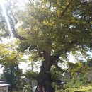 정다운농장 이미지