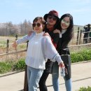 정인목장 이미지