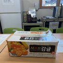 차광남 이미지