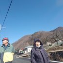 승만농장 네이버블로그