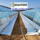 알파크린 이미지