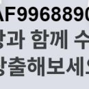 창대 파트너스 이미지