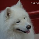 구립 중구 노인요양센터 | 장충동요양원 구립중구노인요양센터 안심하고 맡길 수 있는
