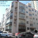 석전동239 이미지