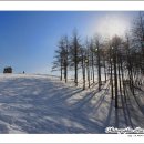 대관령목장 이미지