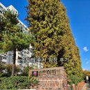 이마트24  의정부삼익점 | GTX-A와 신세계백화점 품은 수서, 지금 사도 될까? (삼익, 한아름, 신동아, 동익 임장 후기)