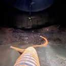 DY산업개발 이미지