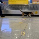 청두어린이공원 | 중국 청두 여행 2탄 - 무후사, 진마파두부 그리고 또다시 경유 ^_ㅠ