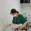 동산동물병원 이미지