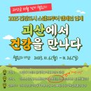 괴산-6 이미지