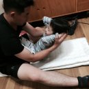 디더블류씨