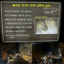 평창밧데리 | 📍 강원도 평창 가족여행 코스 추천 광천선굴 어드벤처 테마파크 후기 평창 가볼만한곳