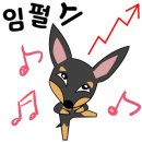 고고야투어