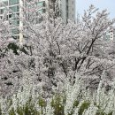 24년 4-5월의 기록