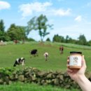 비젼목장 이미지