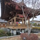 예촌사랑 이미지