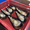 [굴포천 맛집] 조개구이와 고기를 무한으로 즐길 수 있는 굴포천조개창고 무한리필 후기