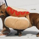 그냥분식 이미지