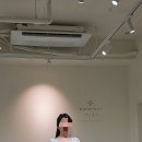 마틴 드 아뜰리에 이미지