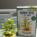 황금어장PC | 4월