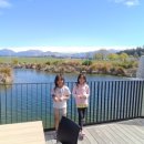 멍스플레이 이미지